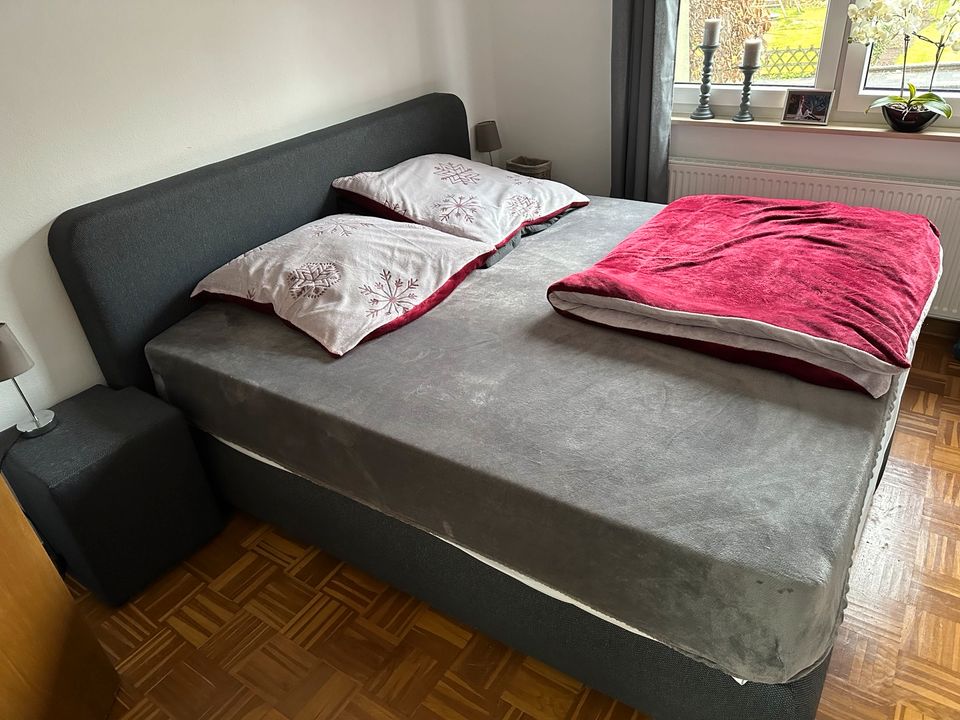 Boxspringbett zu verkaufen in Altenbeken