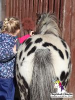 Ponyzeit für Minis Nordrhein-Westfalen - Petershagen Vorschau