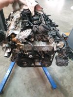 BMW F32 F36 F34 F25 Motor B48B20A 190PS komplett Dortmund - Innenstadt-Nord Vorschau