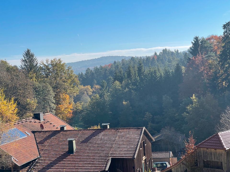 Große Wohnung auf Wellnessbauernhof in Brennberg