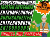 Asbestsanierung,Entrümpelung,Abriss, Entkernung,Tapeten entfernen Niedersachsen - Salzgitter Vorschau