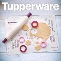 Tupperware Teigunterlage / Profi-Teigrolle NEU Bayern - Horgau Vorschau