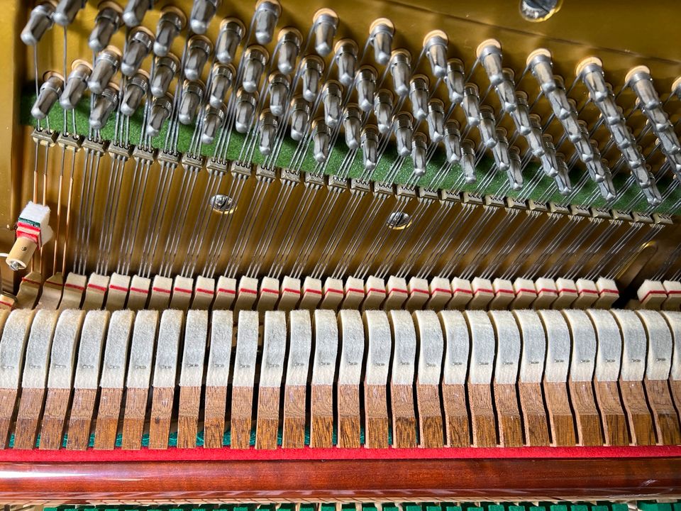 C. Bechstein Klavier 118 Nussbaum, satiniert in Ahrensburg