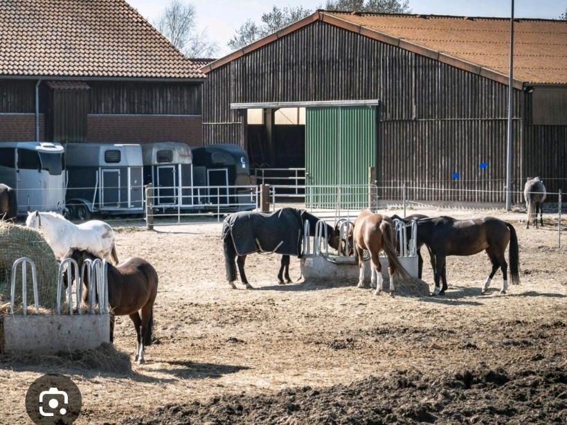 Suche Bauernhof / Resthof / Reitanlage / Pferdestall zum Pachten in Loxstedt