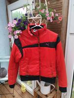 Original PUMA Jacke Gr. S Liebhaberstück!!!! Hessen - Michelstadt Vorschau