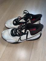 Nike Herrenschuhe Basketball sport Hessen - Kronberg im Taunus Vorschau