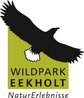 Mitarbeiter/in im schönen Wildpark Eekholt in Großenaspe Schleswig-Holstein - Großenaspe Vorschau