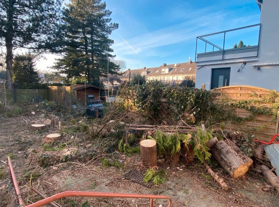 Holz zu verschenken in Bochum