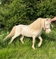 American Miniature Horse Hengst Nordwestmecklenburg - Landkreis - Lützow Vorschau