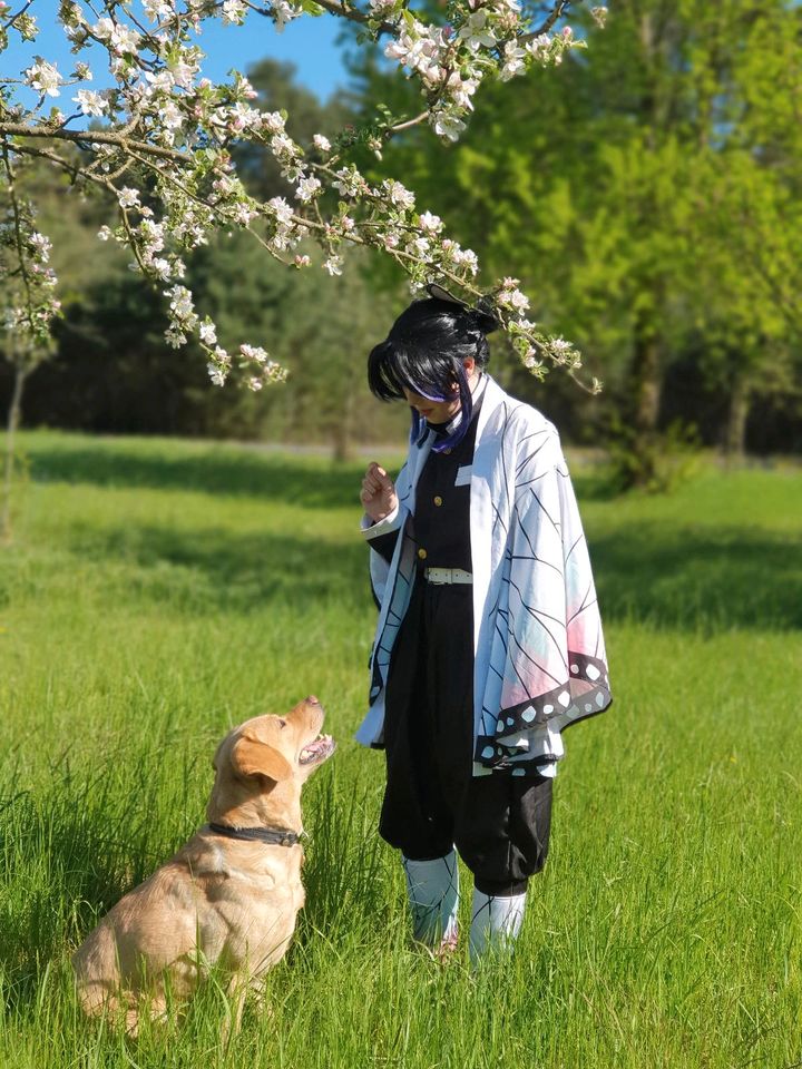 Verkaufe komplette Cosplay Sammlung Größe M in Boxberg / Oberlausitz