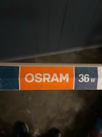 Osram - Leuchtstoffröhren L36W/840 cool white Düsseldorf - Pempelfort Vorschau