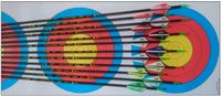 Bogenschießen - Bogensport - Archery - Carbon - Pfeile Nürnberg (Mittelfr) - Aussenstadt-Sued Vorschau