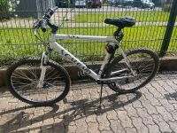 Herren Fahrrad  Mountainbike gut erhalten Baden-Württemberg - Filderstadt Vorschau