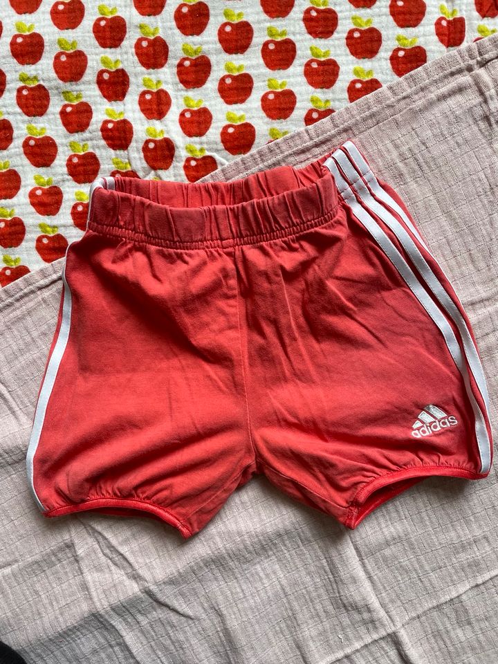 Adidas Short Sporthose Kinder korallfarben in Leipzig