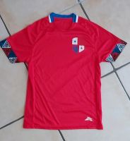 Trikot Panama Gr. 176 Baden-Württemberg - Rielasingen-Worblingen Vorschau