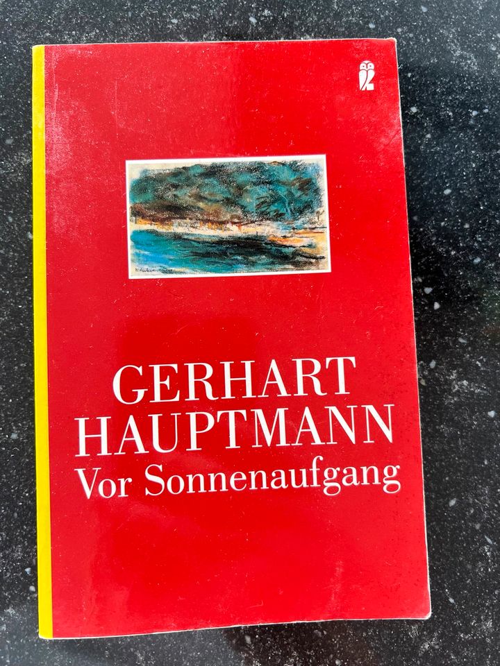 Buch Gerhard Hauptmann - Vor Sonnenaufgang in Leinfelden-Echterdingen