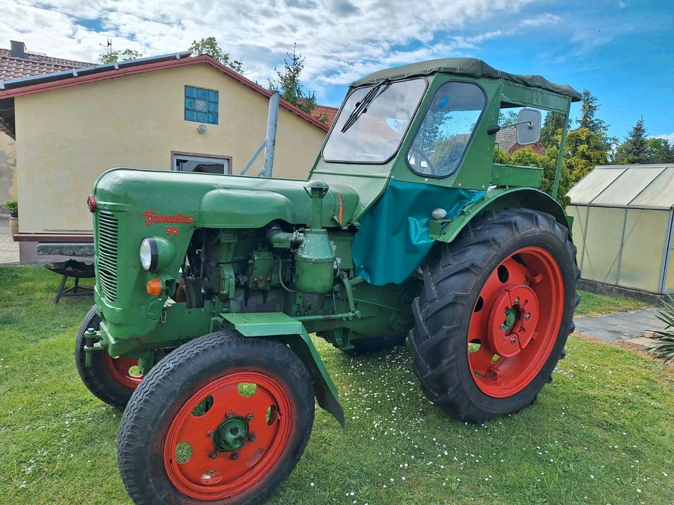 Famulus 36 Luftgekühlt in Dahme/Mark