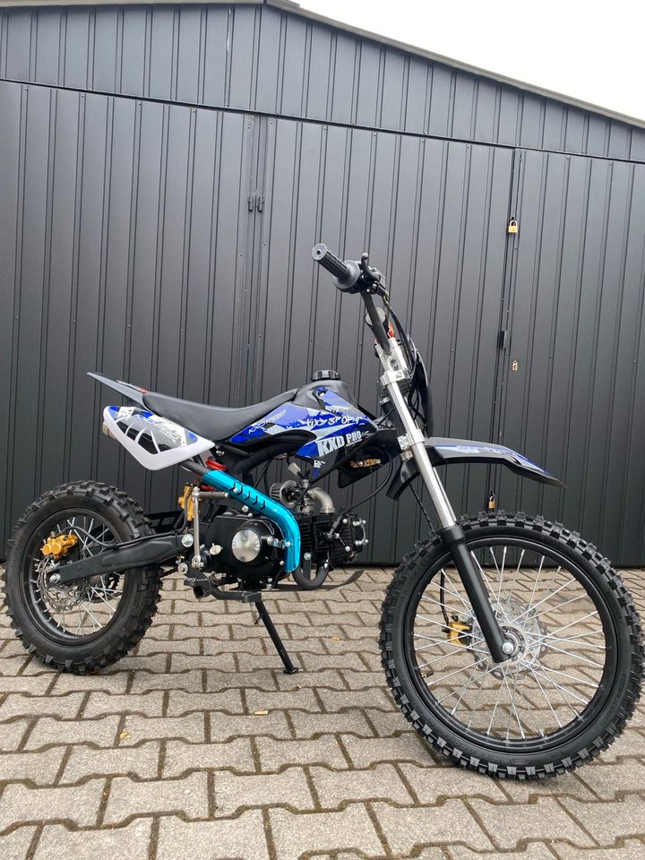 Pit Bike 125ccm KXD NEU Cross 17/14 Zoll Dirtbike Pitbike 2024 in Aschaffenburg