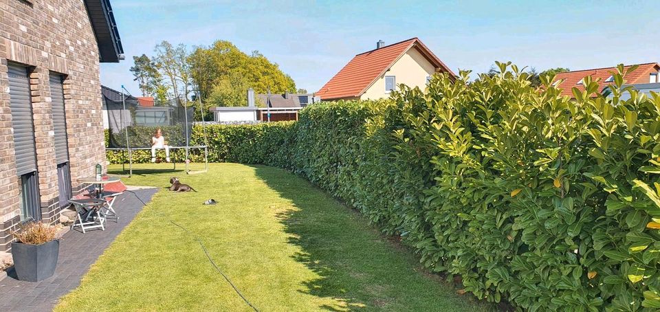 Exklusives Einfamilienhaus ca. 300m2 in Hankensbüttel