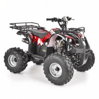 Hecht Quad 125ccm Benzin Kinderquad Bayern - Hunderdorf Vorschau