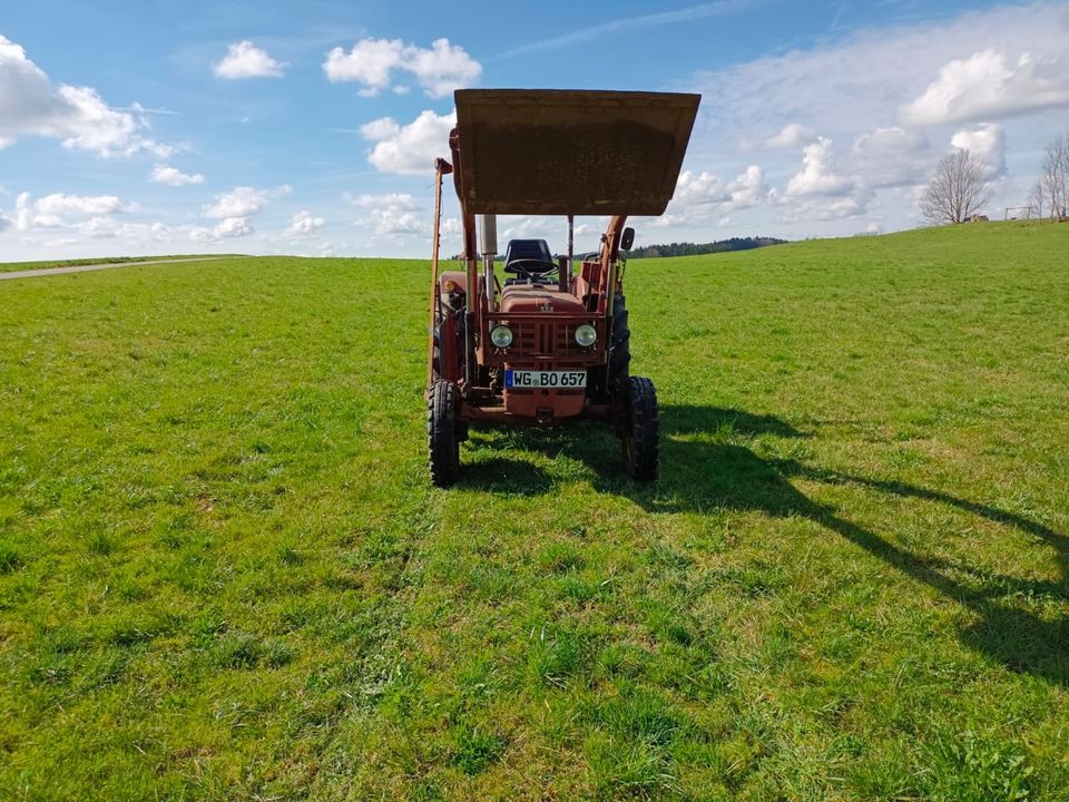 Traktor Mc Cormick D-432 IHC Frontlader und Messerbalken in Opfenbach