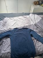 Replay Pullover L Niedersachsen - Seelze Vorschau