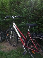 Hochwertiges Fahrrad zu verkaufen München - Ramersdorf-Perlach Vorschau