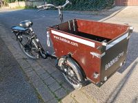 Babboe Dog-E, E-Bike, Lastenfahrrad Niedersachsen - Emmerthal Vorschau