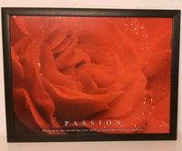 Passion, Bild, Bild mit Rahmen, Rose Nordrhein-Westfalen - Coesfeld Vorschau