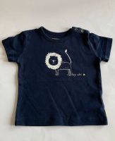 Baby T-Shirt STACCATO Gr.68 Nordrhein-Westfalen - Werne Vorschau