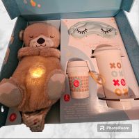 Schlummer Otter Geschenkset Baby Einschlafhilfe Fisher Price Nordrhein-Westfalen - Leverkusen Vorschau