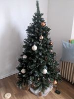 Weihnachtsbaum + Deko Saarland - Saarlouis Vorschau