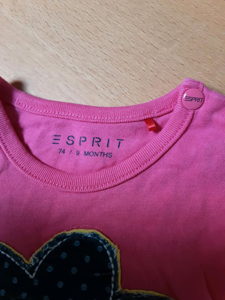 Esprit Baby Mädchen Sommer Set Jeans T-Shirt gr 74 rosa top in Rettenbach Oberpf