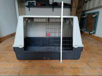 Transportbox, Hund oder Kleintier Hessen - Bad Soden-Salmünster Vorschau
