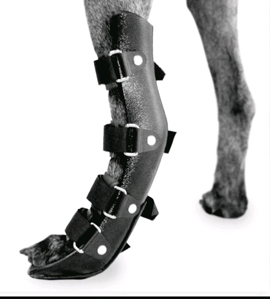 Walkingpets - Hinterbeinprothese, Beinschiene für Hunde in Monschau