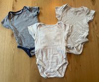 Next Baby Body Set kurzarm Bodys 80 Niedersachsen - Edewecht Vorschau