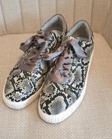 Sneaker Gr.39 Hessen - Kassel Vorschau