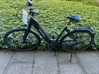 NEU Bremer Rad E-Bike  Alu Wave Rahmen 60cm  Shimano 8 Gang Bremen - Schwachhausen Vorschau