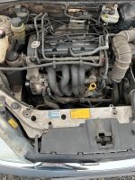 Ford Focus 1,6 i Motor FYDA 74 KW/100 PS Nordrhein-Westfalen - Würselen Vorschau