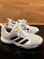 Adidas Hallenschuhe Handballschuhe Größe 37,5 Hessen - Riedstadt Vorschau