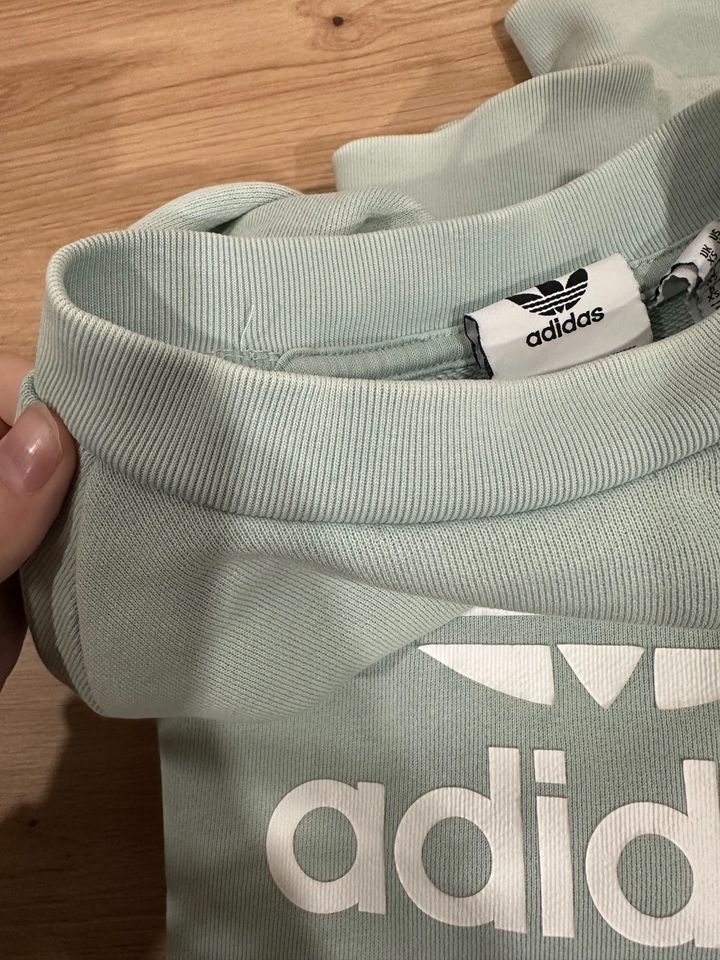 Adidas Sweatshirt mintgrün in Postmünster