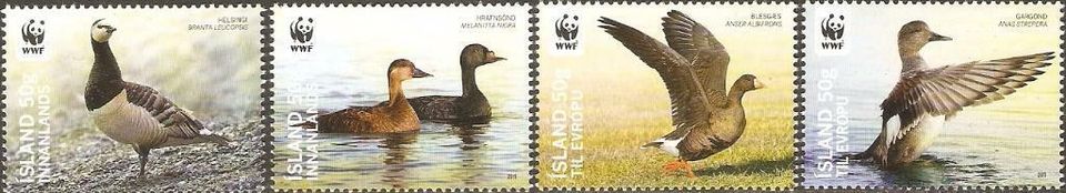 Island 1298-1301 ** WWF Vögel Tiere Blässgans Schnatterente Fauna in Kamen