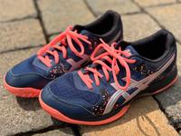 Asics Unisex Gel Flare 7 Hallenschuh Sportschuh 41,5 Sachsen - Naunhof Vorschau