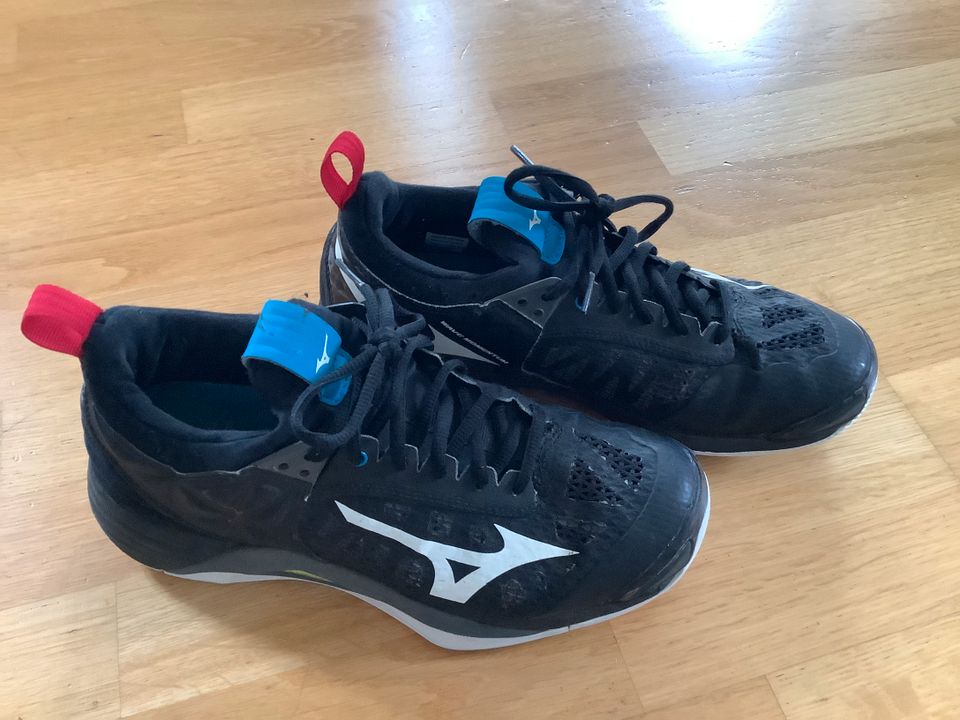 Mizuno Wave Momentum, Volleyballschuhe Gr. 40 in Berlin