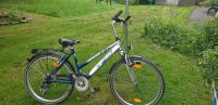 fahrrad 26 zoll Nordrhein-Westfalen - Solingen Vorschau