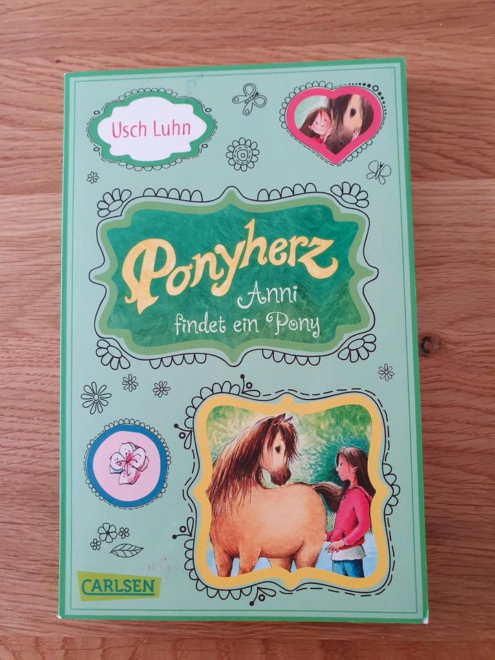 Ponyherz - Anni findet ein Pony in Sontheim