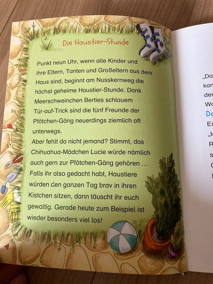 Kinderbücher 6-10 J. Kleine Dame, Conni, Pfötchen-Gang in Reppenstedt