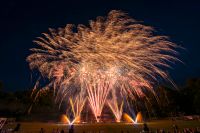 Feuerwerk,Hochzeit,Heiratsantrag,Geburtstag Niedersachsen - Delmenhorst Vorschau