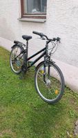 Zündapp Silver 1.0 Damen Fahrrad zum verkaufen Baden-Württemberg - Dußlingen Vorschau