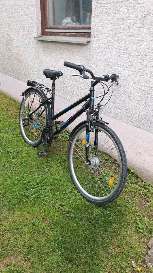 Zündapp Silver 1.0 Damen Fahrrad zum verkaufen in Dußlingen